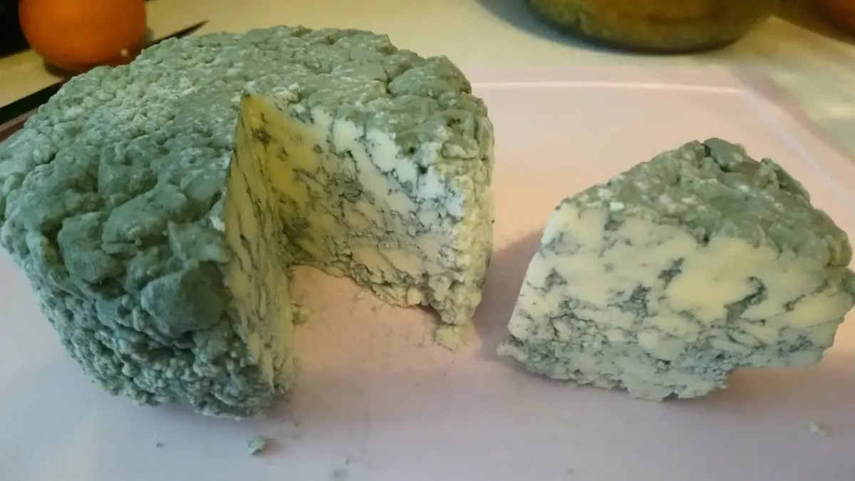 Плесень: с каких продуктов можно ее срезать и употреблять, а что отправлять в помойку?