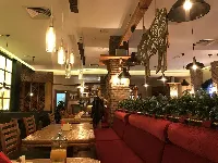 Madyar Grill Bar