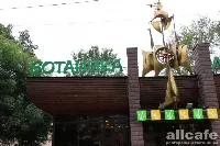 Ботаника