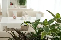 Terraza / Терраса (РГ Casa Del Mar)