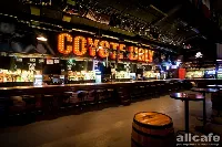 Coyote Ugly / Гадкий Койот