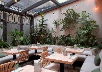 Jungle