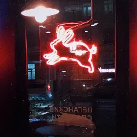 Кролик, беги!