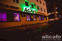 Agave / Агава