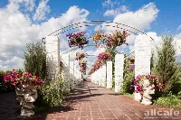 Дон Давид