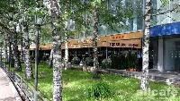 Турецкий Гамбит