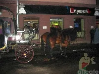 Пироговъ