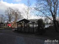 Васаби