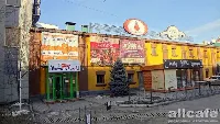 Морковный заяц