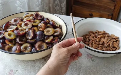 Косточки из слив сами выскакивают за секунду: беру обычный карандаш — плоды остаются целыми, а руки чистые
