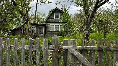 Дачников начнут массово лишать участков: кому грозит изъятие и как спасти дачу