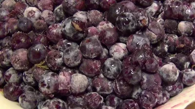 Лайфхак: какие продукты можно заморозить и употреблять после разморозки?
