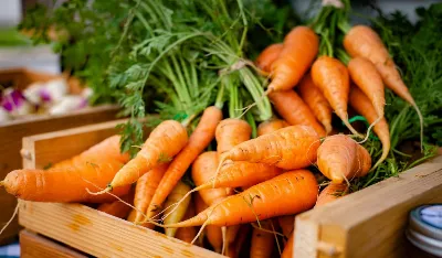 Правительство одобрило: привычный всем продукт раскрылся с неожиданной стороны