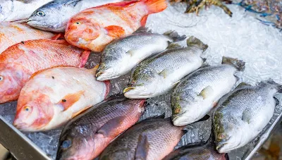 Росрыболовство: запрет импорта морепродуктов из зарубежных стран приведет к падению цен на отечественную продукцию