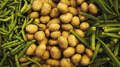 В этих продуктах белка не меньше, чем в мясе: диетолог назвал топ-3