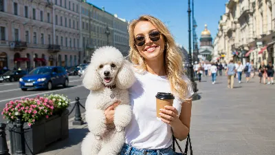 Груминг, кофе, ноутбук и никакого стресса: 4 места в Петербурге, где собаке — рай, а хозяину — не скучно