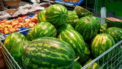 Ждать еще целый месяц: россиянам объяснили, когда упадут цены на арбузы