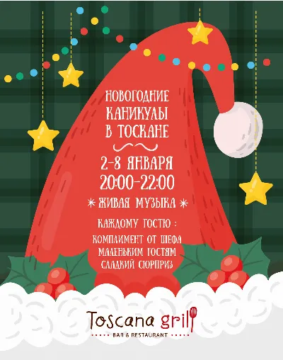 Новогодние каникулы