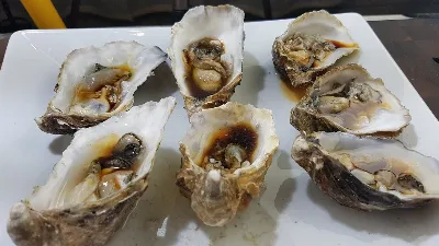 Морская еда дома: как приготовить устрицы?