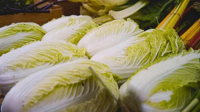 Рулетики из пекинской капусты станут вашей любимой закуской: салат и рядом не стоял