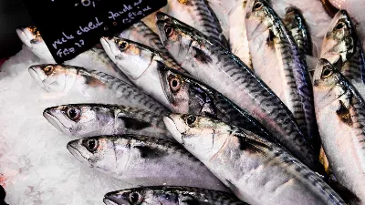 Засолить вкусную скумбрию может любая хозяйка: этот рецепт под силу каждому