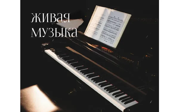 Вечера живой музыки