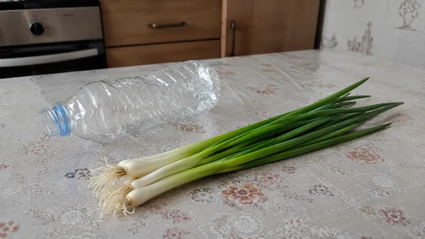 Беру бутылку и пучок лука — и зимой зелень как с грядки, без льда и каши: хитрый способ заморозки
