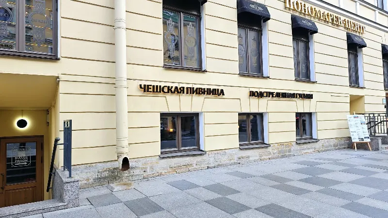 Подстреленная гусыня