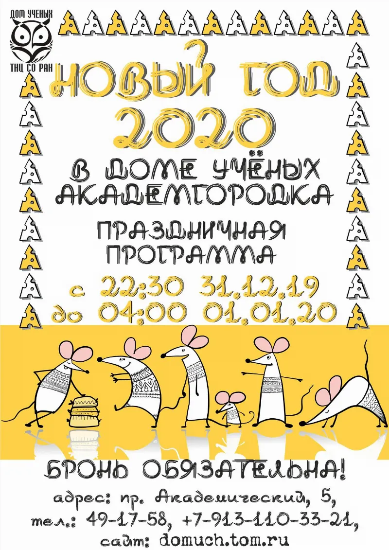 Новогодняя ночь в Доме ученых Академгородка