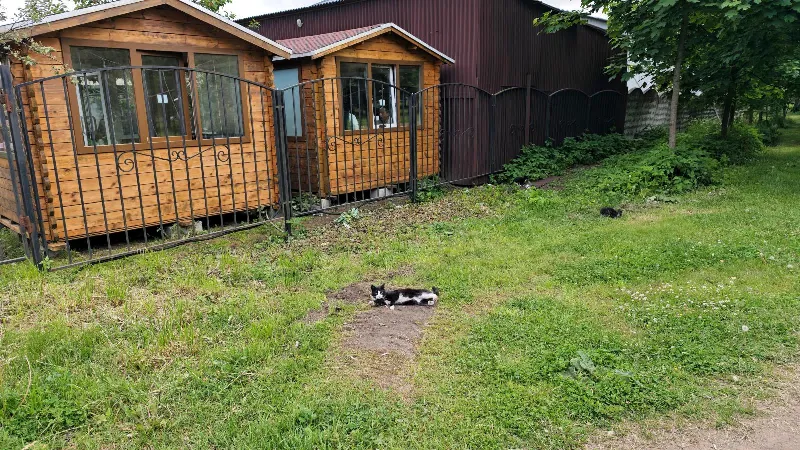 Кухня на углях