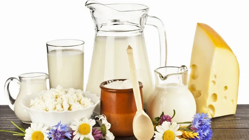 В Вологде выберут лучшие молочные продукты