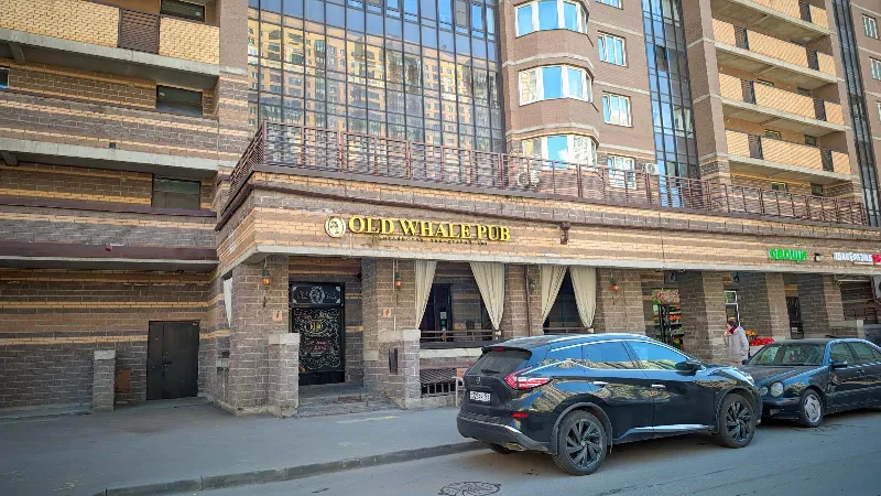 Старый Кит