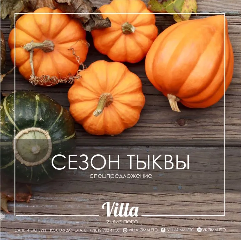 Осеннее меню с блюдами из тыквы появилось в Villa Zimaleto