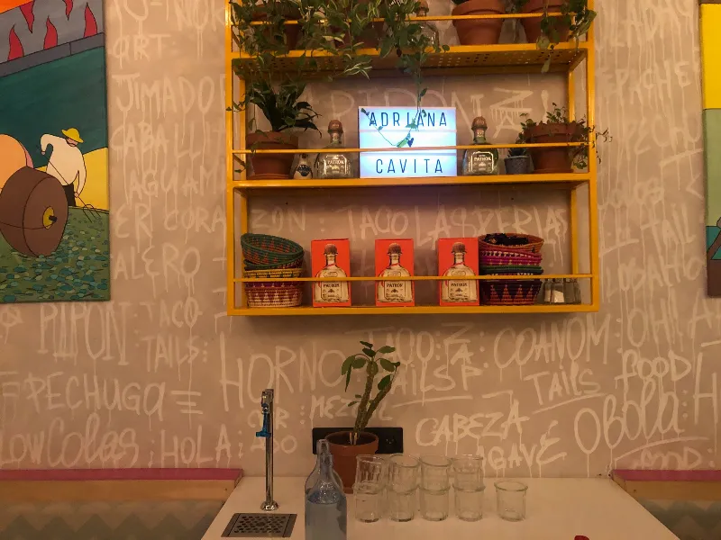 Гастроли Адрианы Кавиты проходят в Paloma cantina