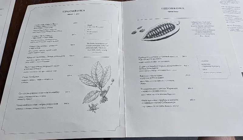 Theobroma