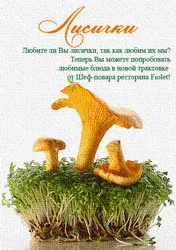 Лисички от шеф-повара в «Фиолете»
