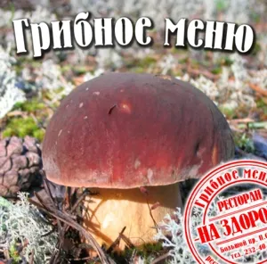 Лесные грибы в меню в ресторана «На здоровье!»