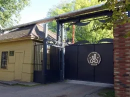 Путешествия ресторанного критика. Великий Новгород, бар Zavod