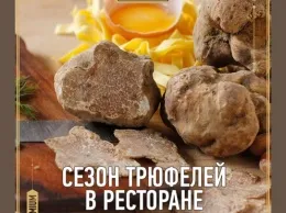 Сезон трюфелей в ресторане «Meat Head»