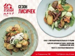 Рыжие бестии или СЕЗОН ЛИСИЧЕК в ресторане «Птичий двор»