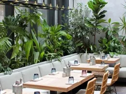 Открытие. Jungle garden cafe