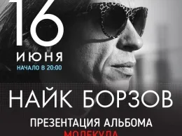 Найк Борзов на фестивале Roof Music Fest