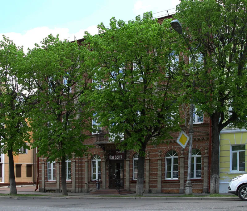 Дом Берга