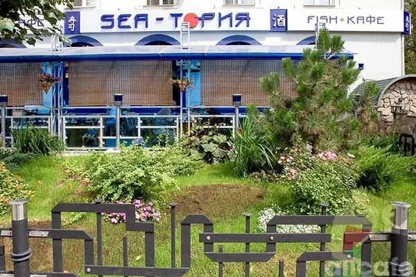 Sea-toria / Ситория