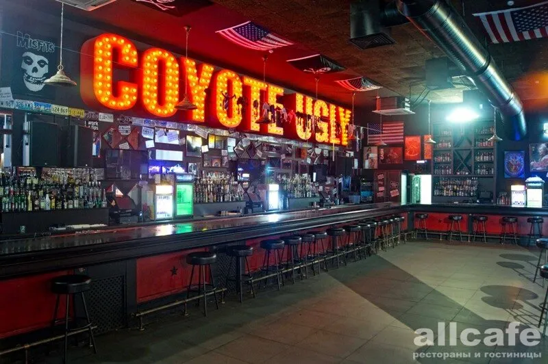 Гадкий Койот / Coyote Ugly