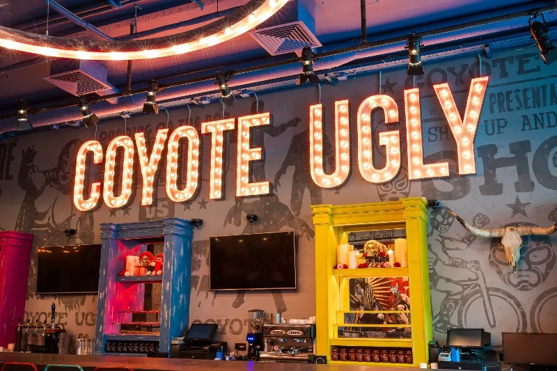 Coyote Ugly / Гадкий Койот