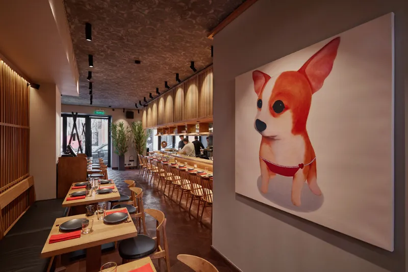 SHIBA