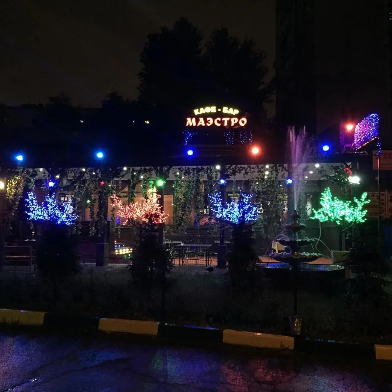 Маэстро