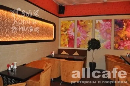 Своя компания