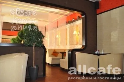 Своя компания